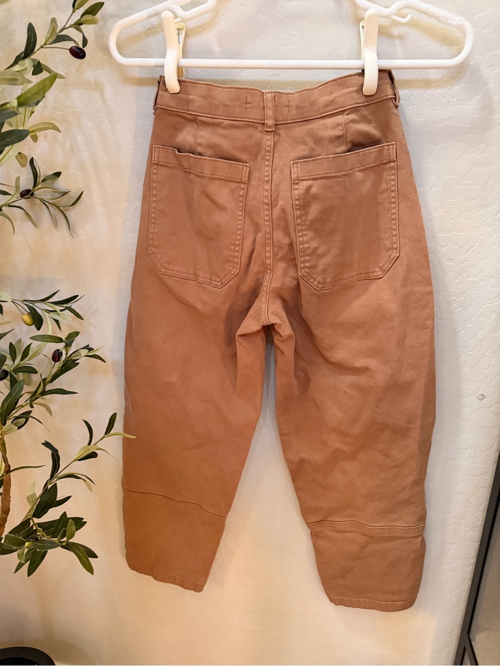 Everlane Rust-Tan Work Chinos - Picture 3 of 5